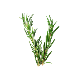 Rosemary
