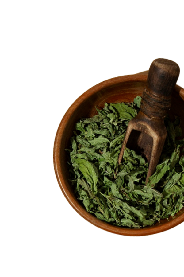 Top Decorative Image